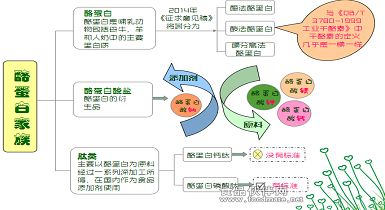酪蛋白系列產品有哪些？