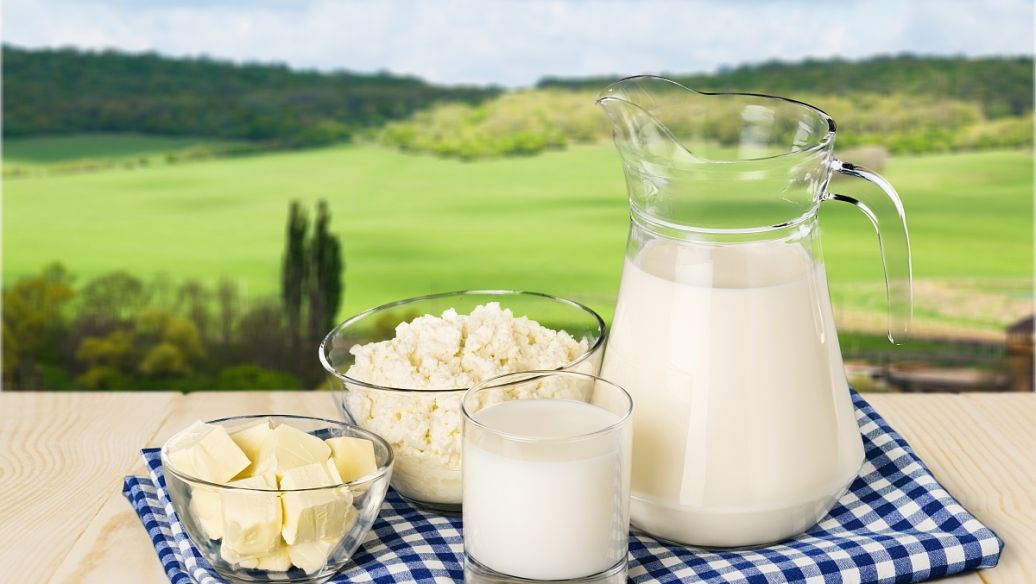 乳業(yè)巨頭開啟整合模式 細分領域進入快車道